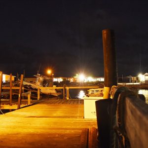 Day 4 Trip Report 16