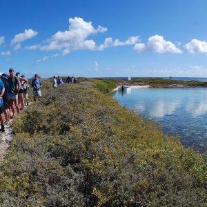 Day 4 Trip Report 4