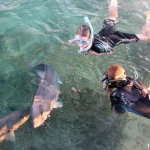 Trip Report Day 4 16 1