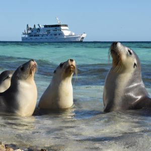 Trip Report Day 4 4