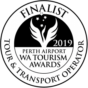 FINALIST 2019 Cat12