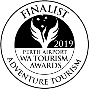 FINALIST 2019 Cat13