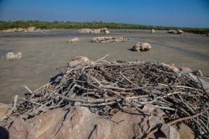 1706241706249443 Medium