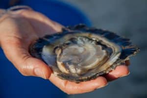 1706271706279508 Medium