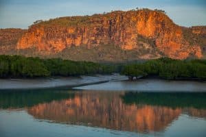 1706281706289521 Medium