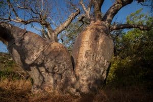 1706281706289550 Medium