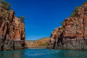 1707021707029625 Medium