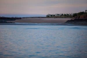 20170608 1706089259 Medium