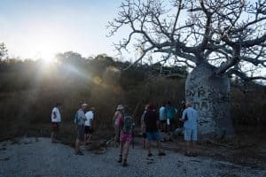 James Vodicka 20 Sheep Island