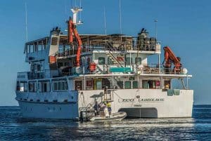 abrolhos-islands-corporate-charter1 abrolhos islands corporate charter1
