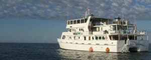 abrolhos-islands-cruises-trips abrolhos islands cruises trips