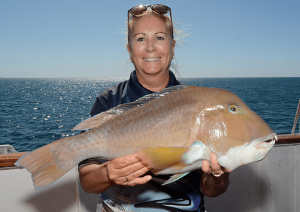 Abrolhos Island Fishing Baldchin Groper