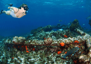 a woman swimming underwater with fish and coral