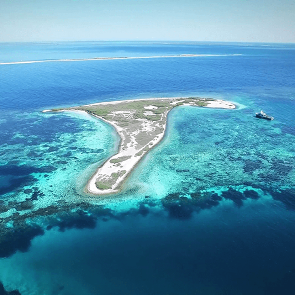 Eco Passenger info abrolhos2