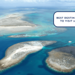 eco abrolhos post hero CNN