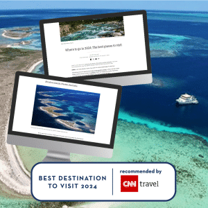 eco abrolhos cnn post featureimageArtboard 6