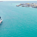 Eco abrolhos Tripadvisor TravellersChoice Award Blog header Abrolhos4