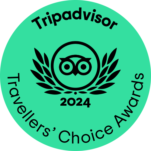 TC green winner gif LL 2024 1