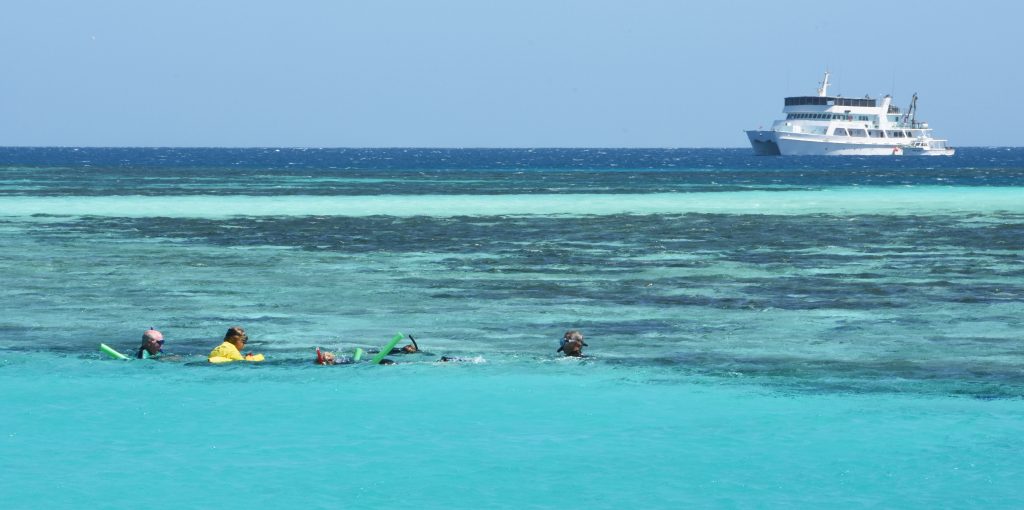people snorkeling in the ocean at the Abrolhos Islands