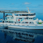 eco abrolhos wadreamsaleheader