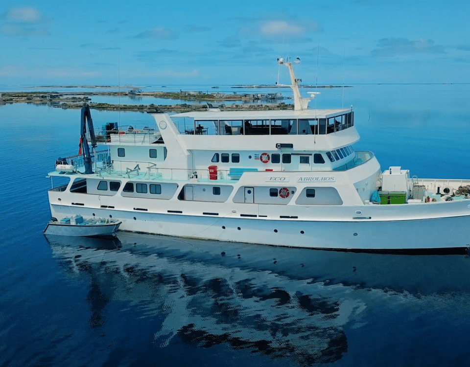 eco abrolhos wadreamsaleheader