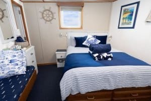 Cabin 20 1