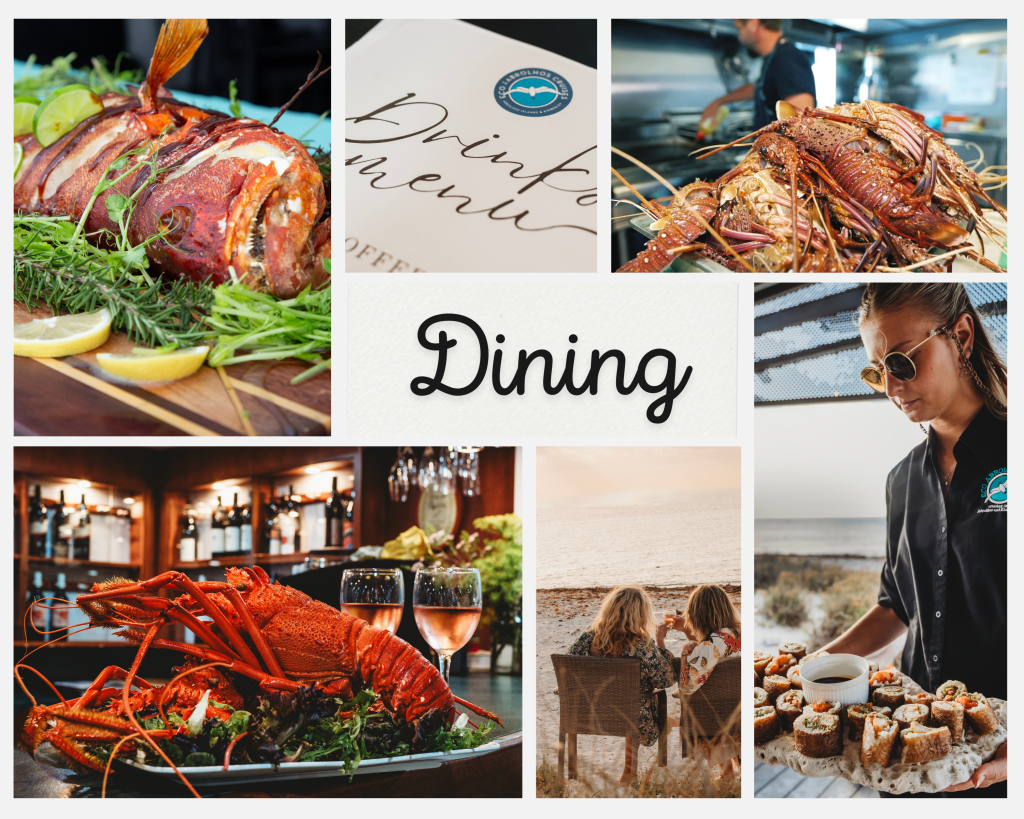 Collage of the Dining Experience onboard Eco Abrolhos