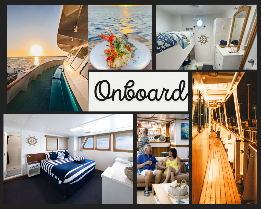 Collage of the onboard facilities on the Eco Abrolhos