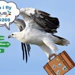 oCdMYCKTXBXTDCv2W EwwmW4ankw even i ll fly nexus at usd269 3