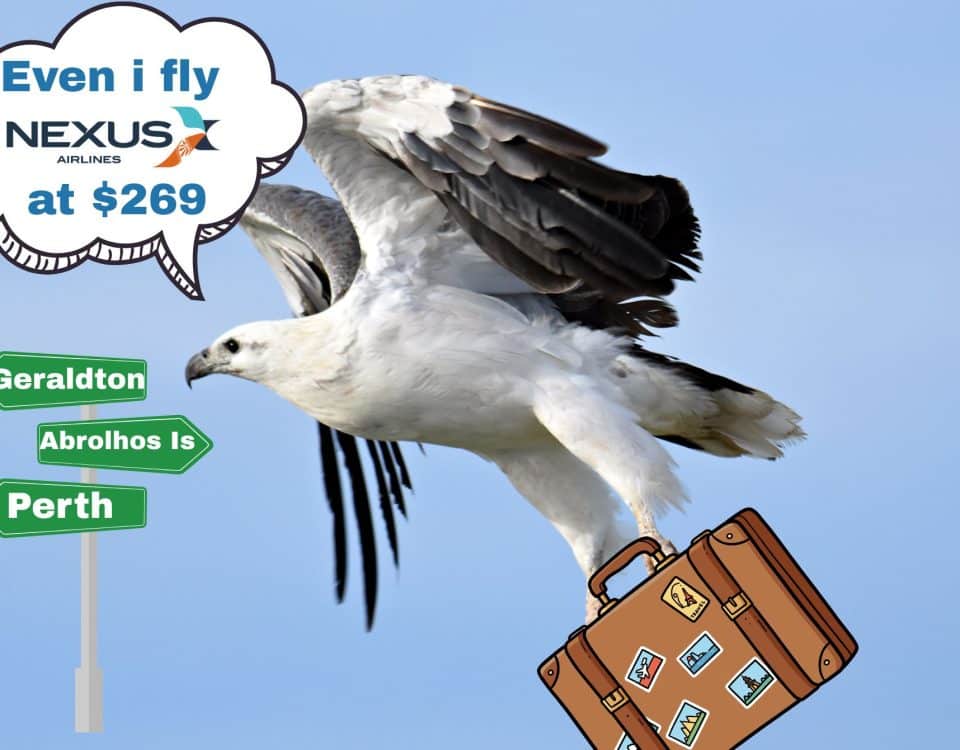 oCdMYCKTXBXTDCv2W EwwmW4ankw even i ll fly nexus at usd269 3