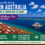 ChatGPT Image Apr 22 2026 05 34 05 PM